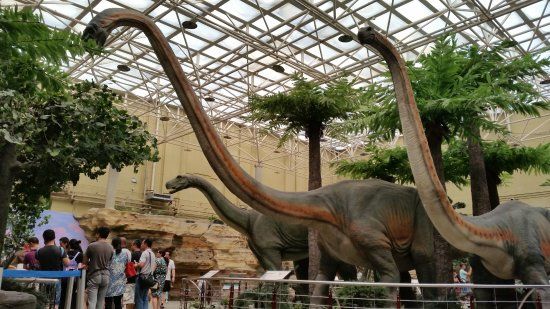 Musée d'histoire naturelle